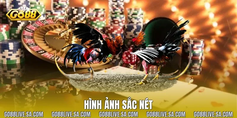 Hình ảnh sắc nét