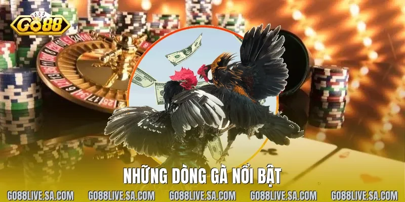 Những dòng gà nổi bật
