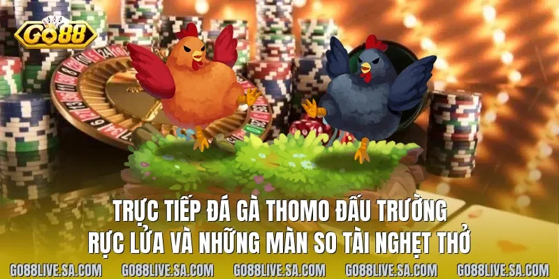 Trực Tiếp Đá Gà Thomo